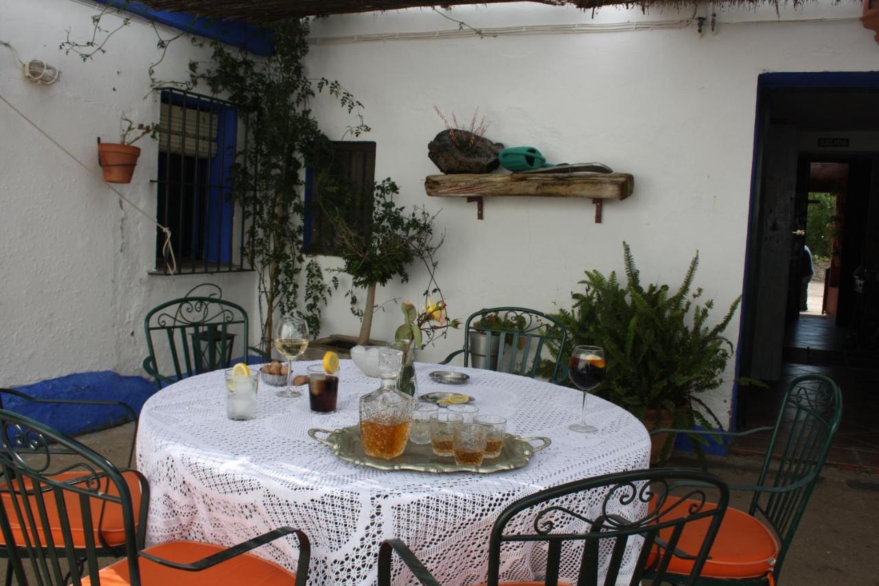 Asiento Del Rio Pruna
