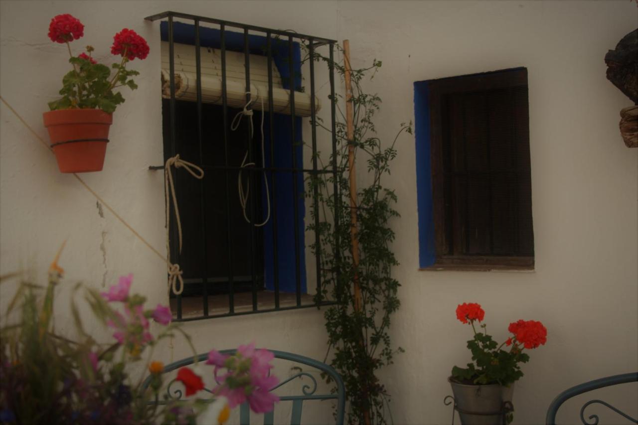 Landhuis Asiento Del Rio Pruna