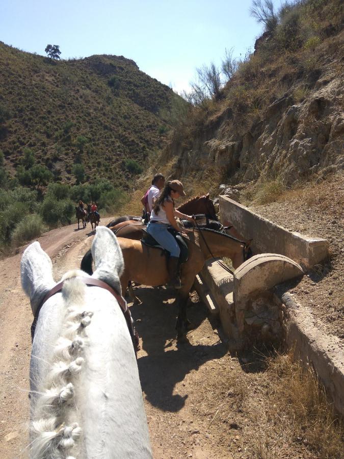 Asiento Del Rio *